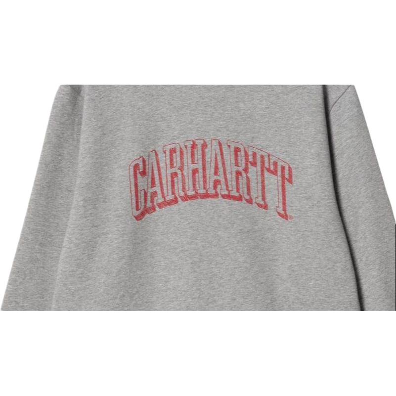 Carhartt WIP Свитшот с принтом граффити FW22 Мужской свитшот Серый I030939-19X-XX