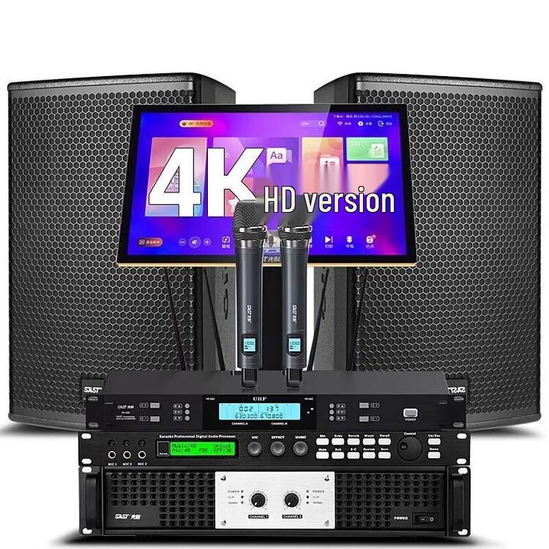 SAST Professional 12-inch All-in-One Home Karaoke System CN plug (adapter included)