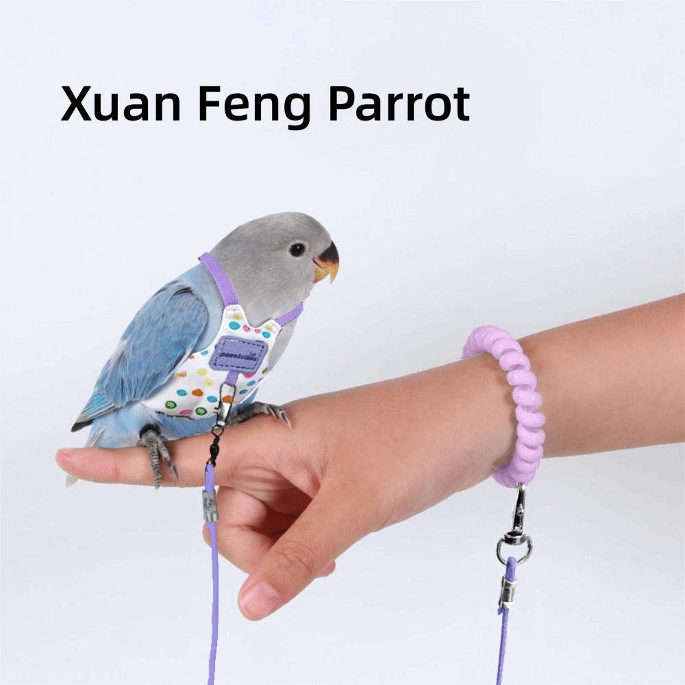 Adjustable Parrot Flying Harness Anti-Bite Parrot Flight Harness Bird Flight Suit Small Parrots