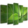 Five Piece Picture Canvas Print Green Leaf Plants