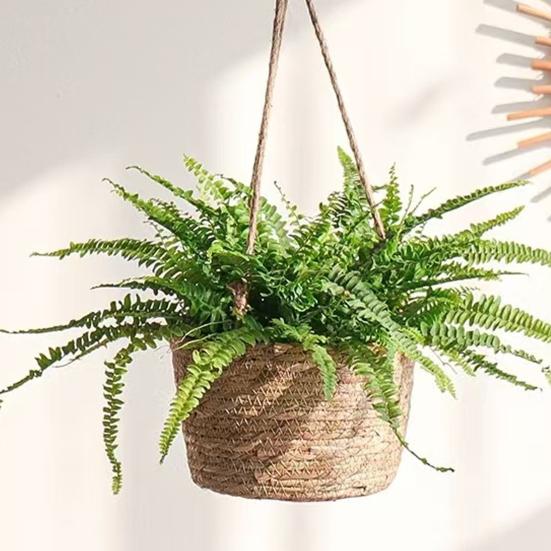 Подвесное кашпо из хлопковой веревки, прочная плетеная вручную корзина для цветов, деревенский шарм, держатель для растений, горшок для выращивания орхидей