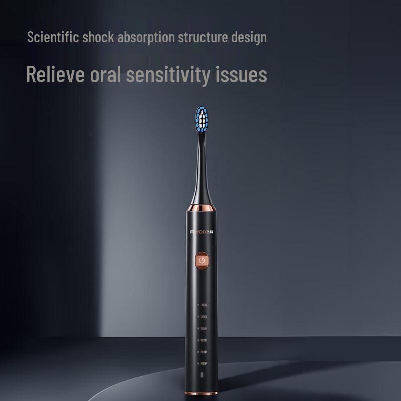 FLYCO FT7205 Sonic Electric Toothbrush