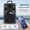SAST Портативная 15-дюймовая Bluetooth-караоке-колонка A90