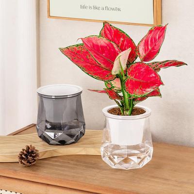 Мини-горшок для цветов с самополивом, аквариум, прозрачные пластиковые горшки для растений, самополивной горшок для растений, ваза для украшения дома