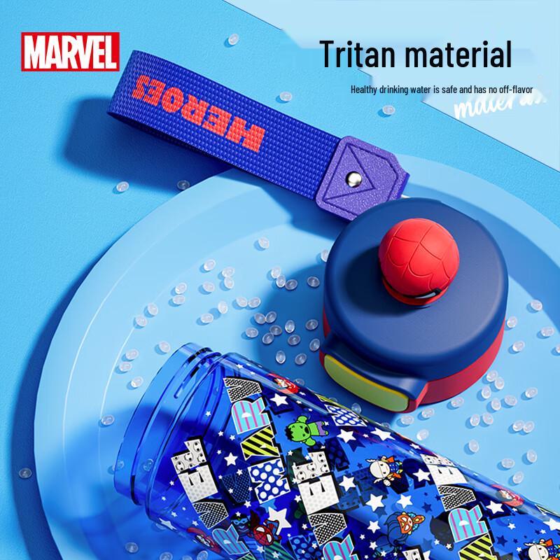 Disney Kids Insulated Water Bottles & Sippy Cups