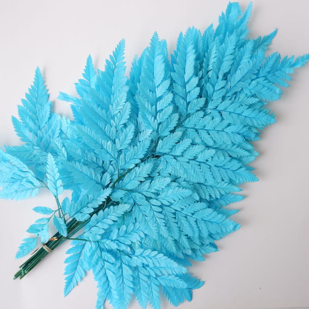 Eternal Alpine Fern Golden Alpine Fern Leaf Immortal Flower Dried Flower Bouquet Wedding Decoration With Grass