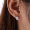 Popular Earrings Water Drop Zircon Earrings  Versatile Earrings  Korean Style Fashion