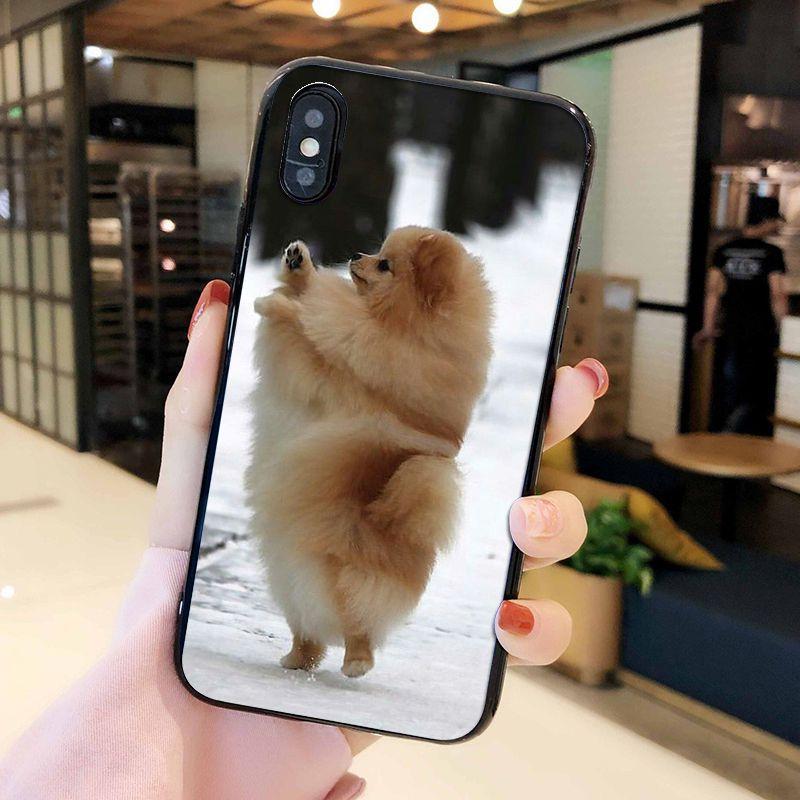 Милые собаки Померанский шпиц собака Чехол-ракушка для телефона iphone 12 11 11Pro X XS MAX XR 8 7 6 6S Plus 5 5S SE