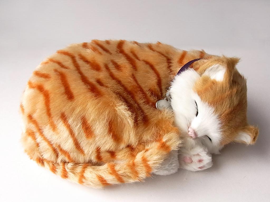 Ninian and Kino Perfect Pet Brown Tabby Cat Plush Realistic and Perfect Gift for Plush Toy (Small) Toy, Lifelike, Celebrations, Animal, Soothing,