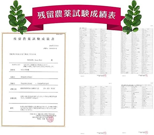 Taiyo No Moringa Powder 70g New Package Baking Ingredient Matcha Flavor Yogurt Curry Increased Nutritional Value