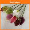 Plant Floral Anthurium Realistic Home Office Decoration Photography Props