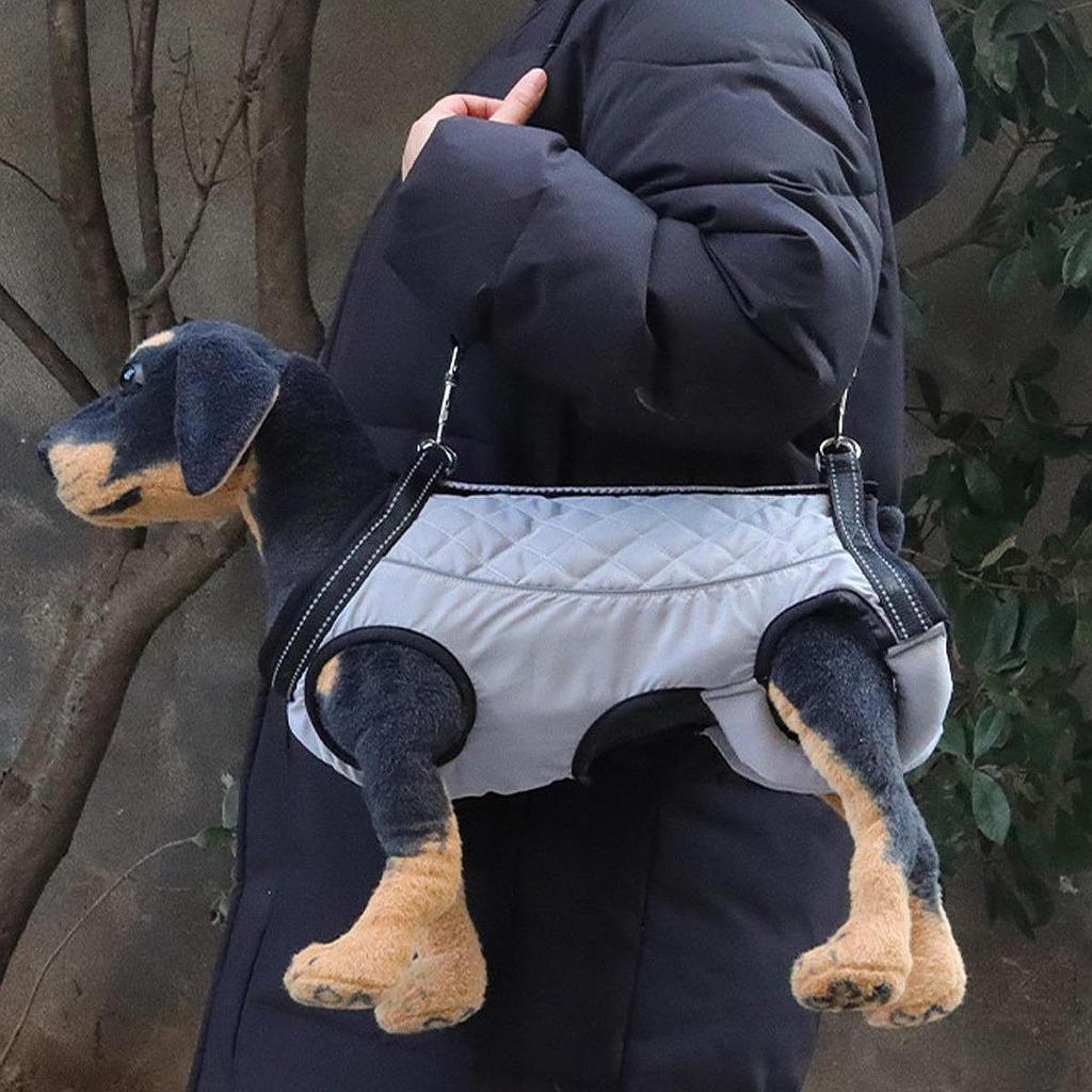 Регулируемая шлейка для поддержки собак, обеспечивающая помощь в передвижении