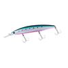 DAIWA Shoreline Shiner Z Set Upper 145S-DR