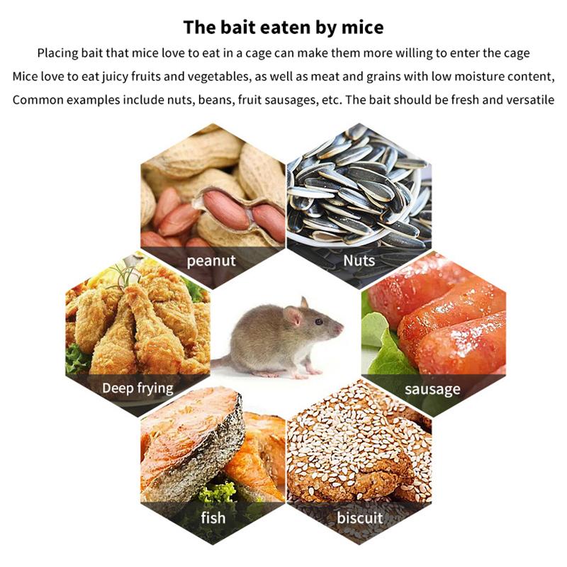 Многофункциональная ловушка для мышей и крыс. Клетка для борьбы с вредителями. Все мыши и крысы могут поместиться в ловушке для мышей и крыс.