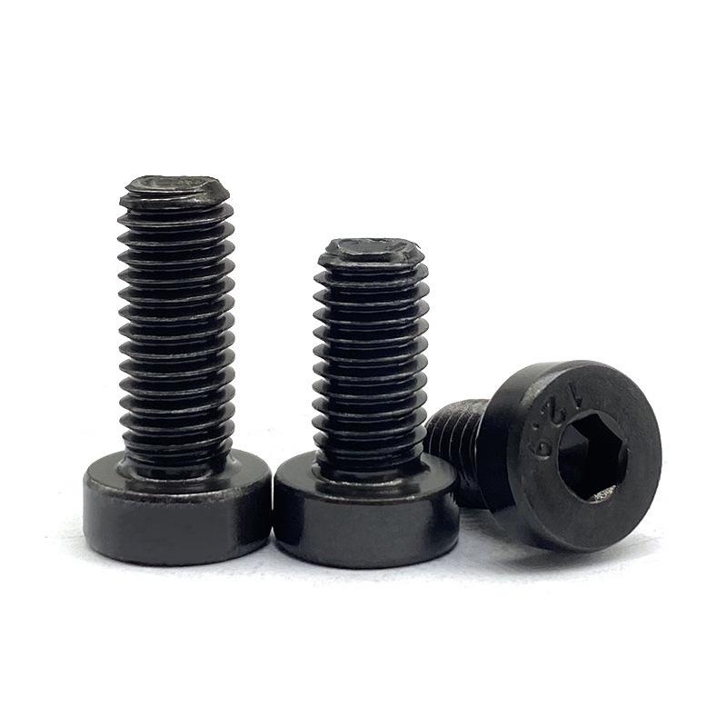 12.9 High Strength Thin Head Hex Socket Cap Screws DIN7984, Low Profile Flat Head Screws M4-M16