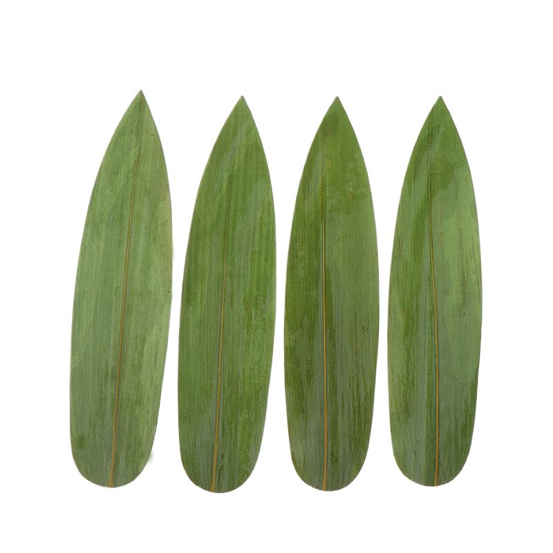 100Pcs Sushi Bamboo Leaves Sashimi Dish Leaf Ornament Home Decor Serving Disposable Plates Artificial Fake Grass