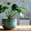 Monstera Plant Support Reusable Coated Iron Stem Holder Flower or Heart Shaped Stabilizer Climbing Plants Stem Support for Indoor Outdoor Plants
