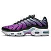 Air Max Plus 'Aurora Hyper Violet' Gs CD0609-300