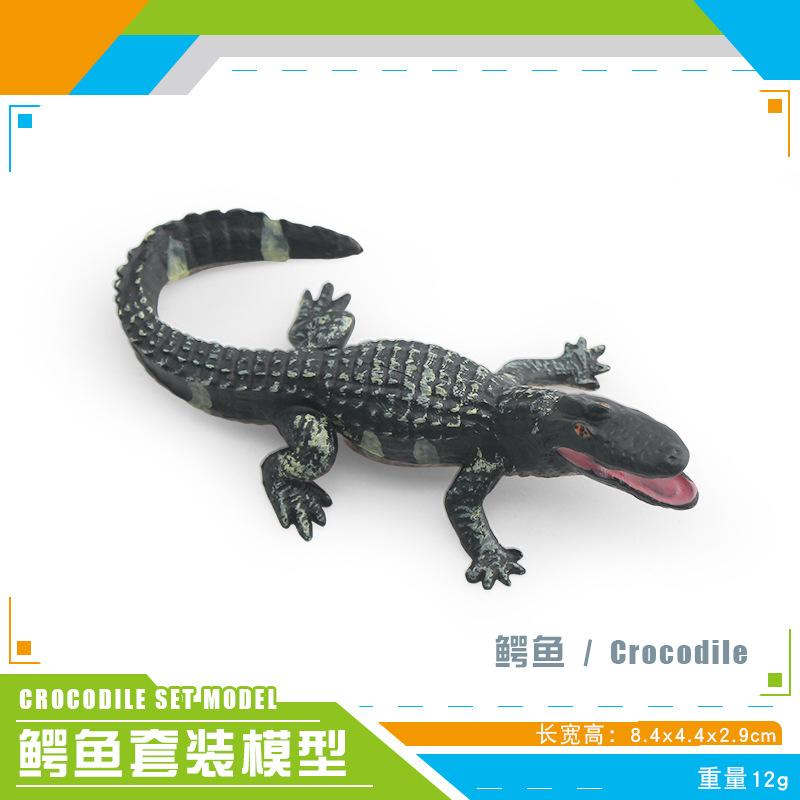 Mini Crocodile Wild Boar Caiman Nile Crocodile Alligator Wildlife Animal Model Scale Miniatures Decorations Simulated Home Decor