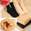 5 Pairs of Female Autumn and Winter Leisure All Build Thick Warm Plush Socks