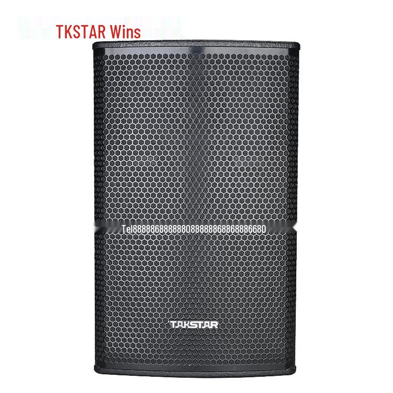 TAKSTAR Professional 12-inch Full-range Speaker KP-12