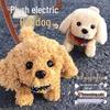 Interactive Plush Electric Toy Puppy for Babies and Infants: Rolls, Crawls, and Walks with Sounds - Perfect Children's Gift