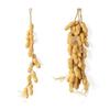 1Bunch Colorful Simulation Foam Vegetables Fake Corn Hanging Hanging Artificial String Home Decor Kitchen Decoration