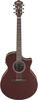 Ibanez Electric Acoustic Guitar / AE100-BUF (Burgundy Flat)