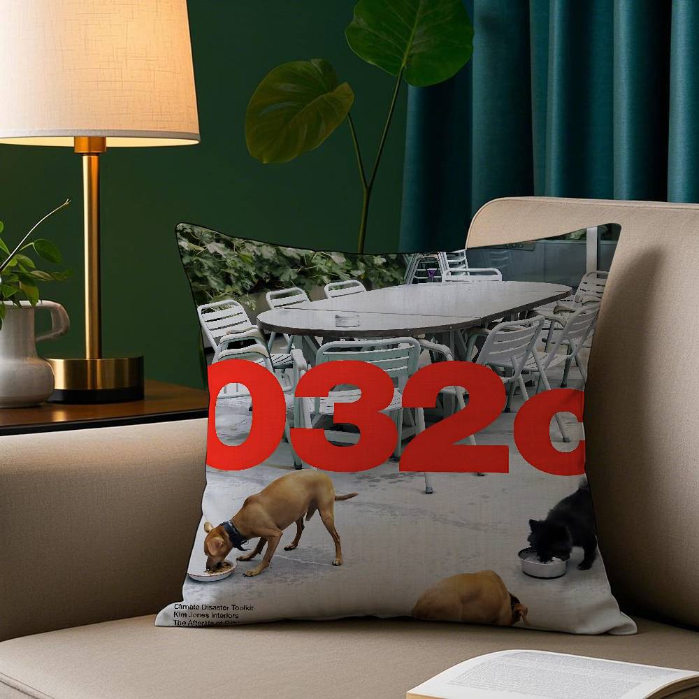 Brand c Poster Pillow Case Short Plush Print Cushion Cover Square Throw Pillow Covers Sofa Home Decor