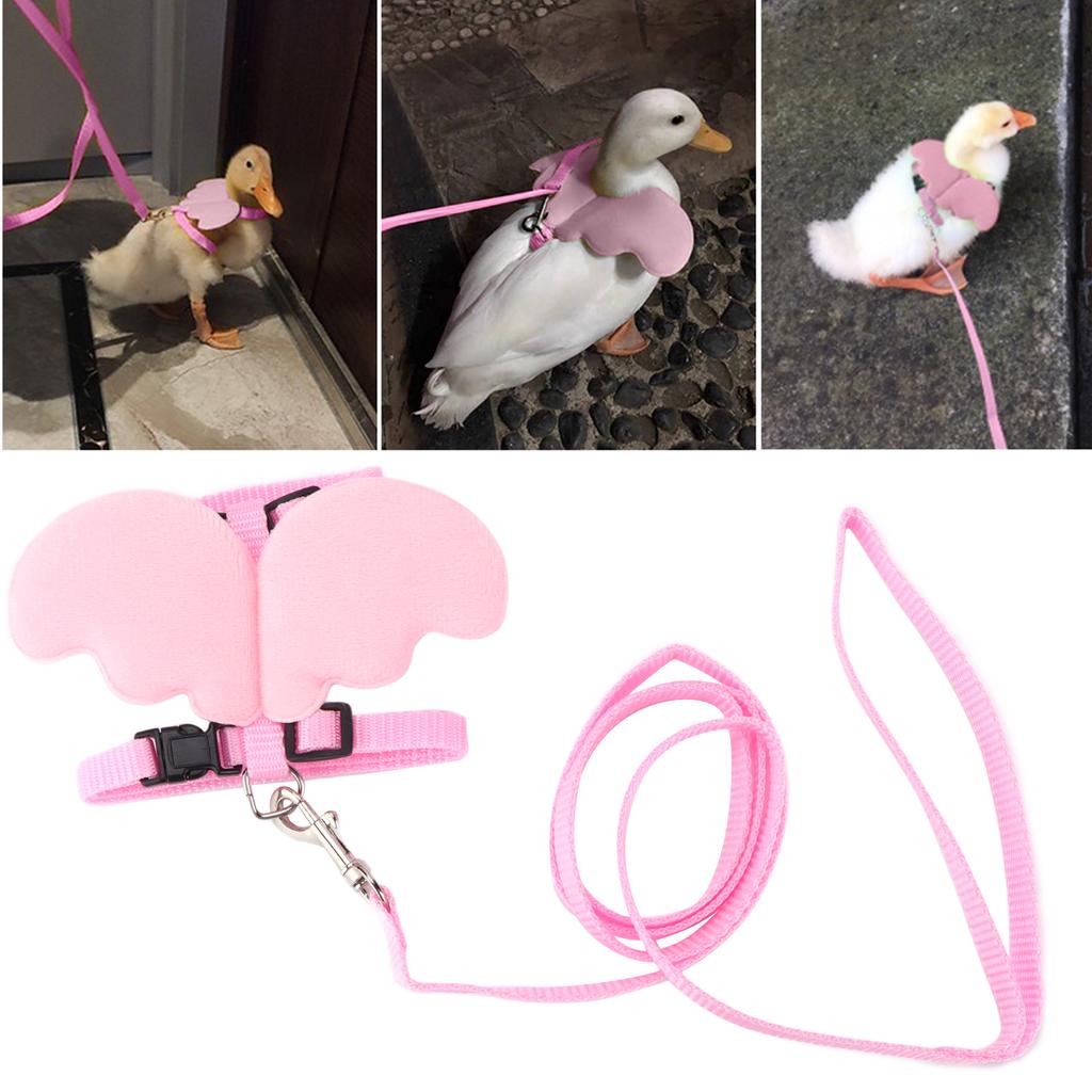 Ducks Traction Rope Adjustable Chest Strap Outside Walking Harness Leash for Pet Duck Chicken