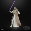 Hasbro Star Wars STAR WARS Black Series Jedi Master Vernestra Law, Acolyte Collection 15cm Action Figure G1548 Genuine Product