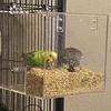 Hanging Acrylic Bird Feeder Transparent Parrot Parakeet Tray Bird Automatic Feeder  for Bird