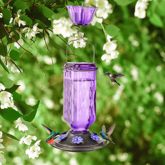 Стеклянная кормушка для колибри 24 унции подвесная кормушка для птиц на открытом воздухе с защитой от пчел