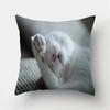 Cute Cat Pet Print Pattern Cushion Cover Home Living Room Sofa Decoration Square Polyester Pillow   45x45cm