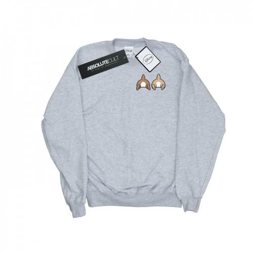 Disney Boys Chip N Dale Backside Breast Print Sweatshirt