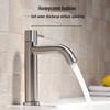 TLXT Stainless Steel Single Cold Basin Faucet