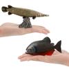 Piranha Marine Life Fish Model Pvc Educational Display With Base For Science Enthusiasts