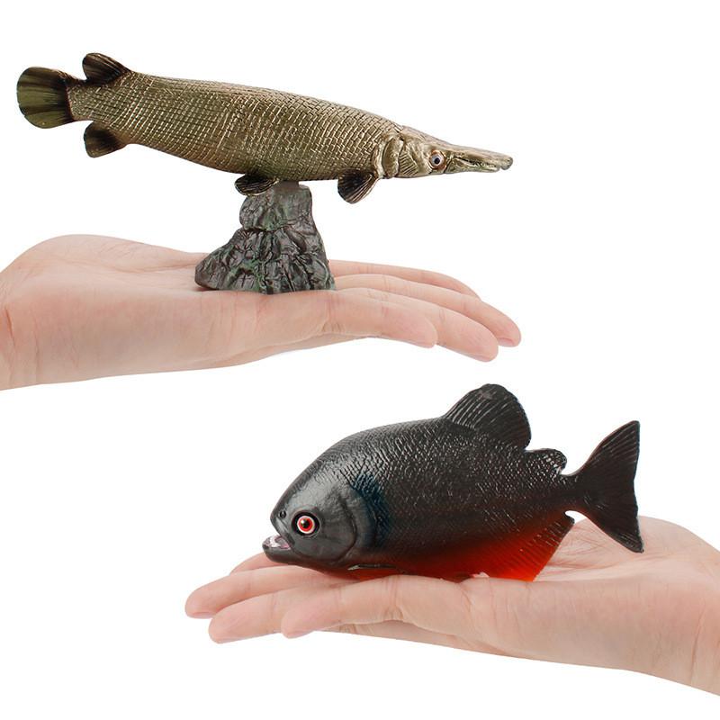 Piranha Marine Life Fish Model Pvc Educational Display With Base For Science Enthusiasts