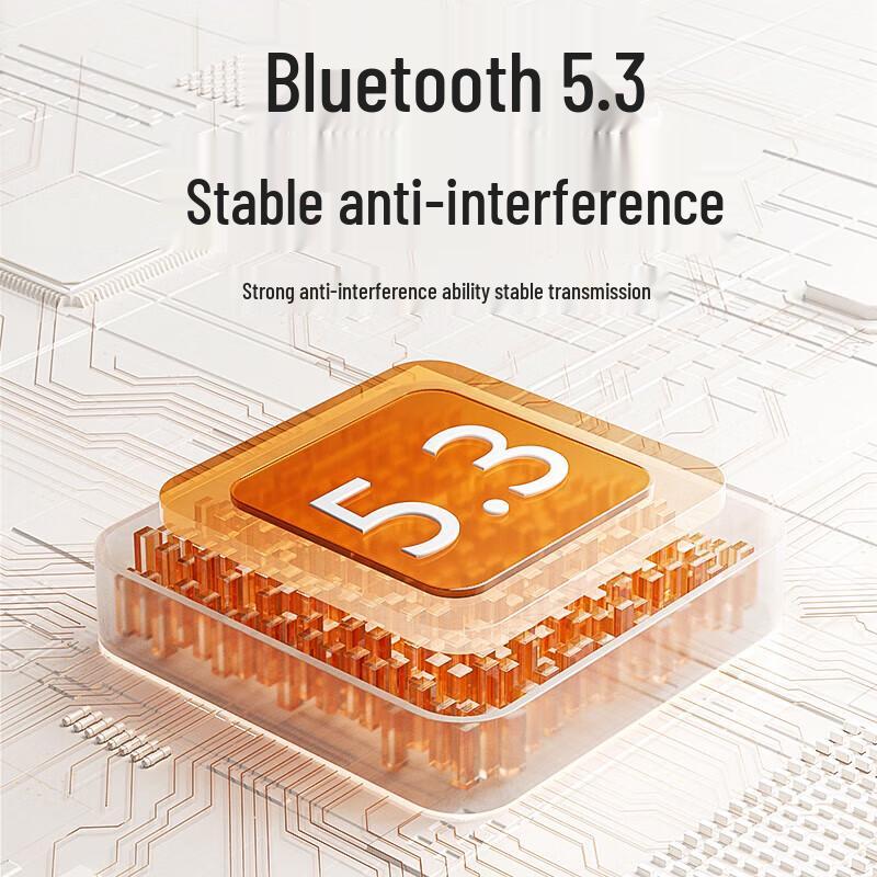 NEWMINE U-238 Wireless Portable Voice Amplifier