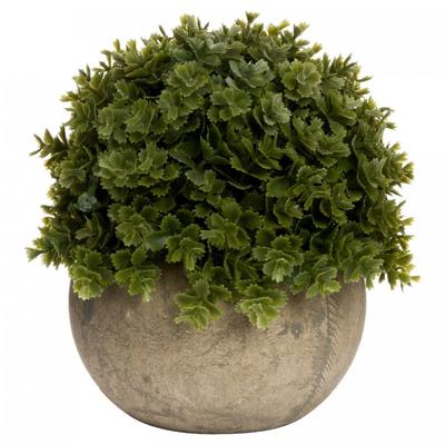 Миниатюрное украшение Hebe Veronica
