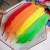 50/100pcs Goose Feathers Dyed Various Natural Swan Feather for Crafts Wedding Jewelry Party Accessories 15-20CM/6-8 Inch