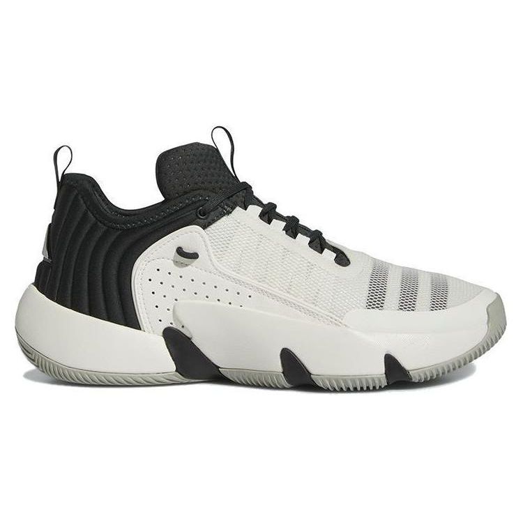 Adidas Trae Unlimited Cloud White Carbon Мужские кроссовки Металл-Серый IF5609