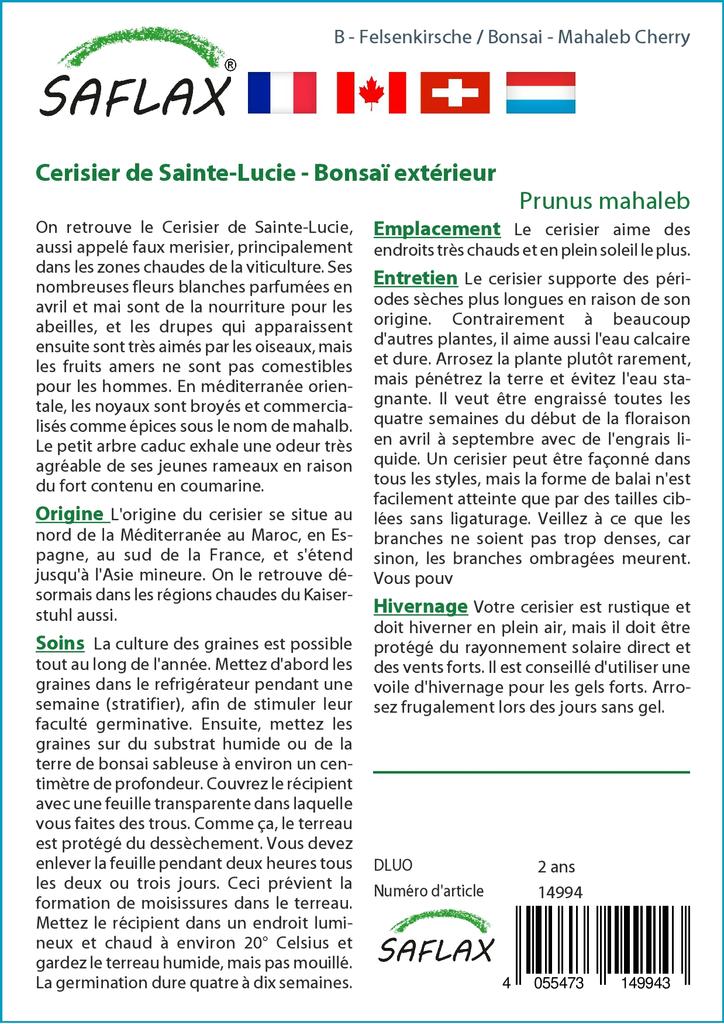 SAFLAX Garden in the Bag - Бонсай - Махалебская вишня - 30 семян - С субстратом в подходящем пакете-стойке - Prunus mahaleb