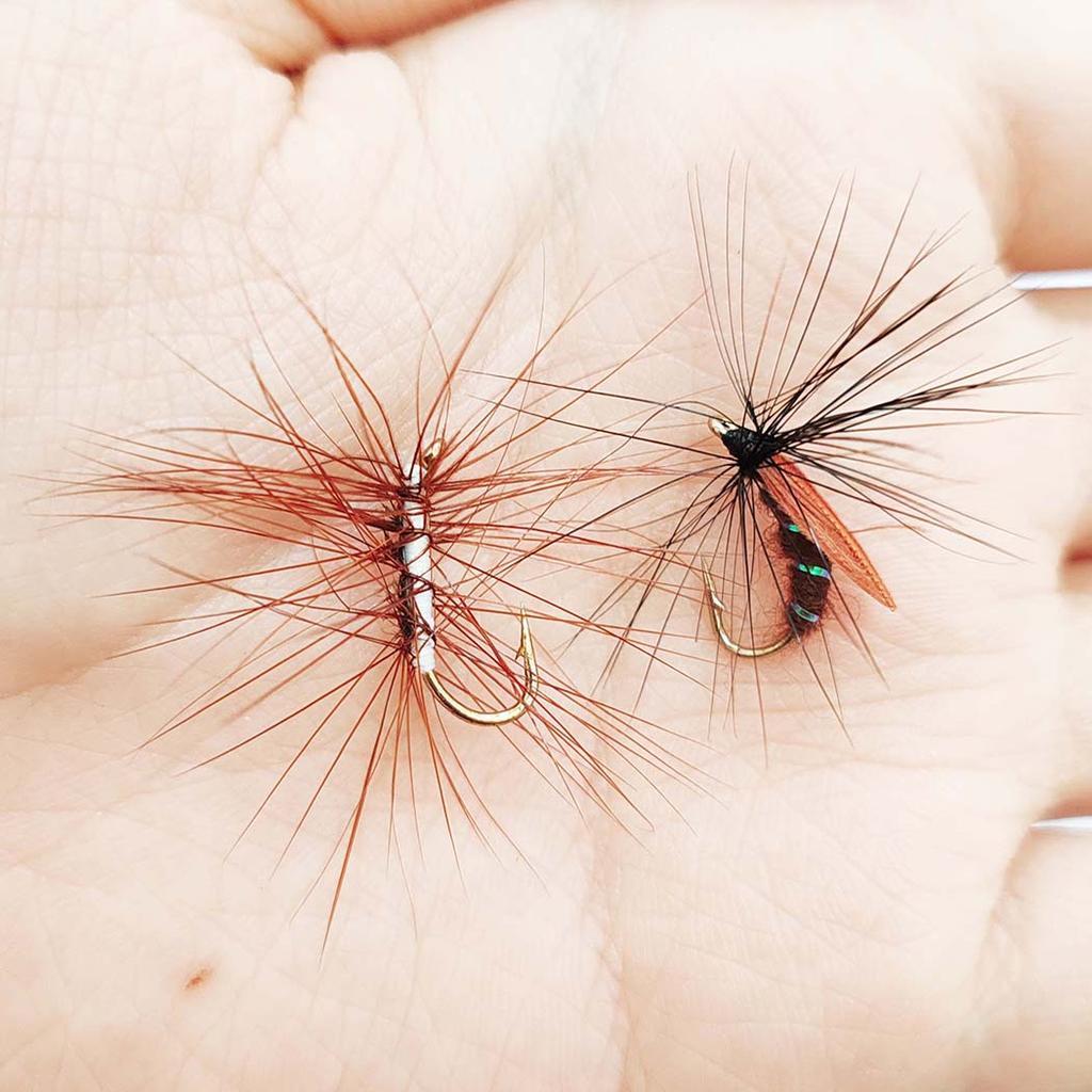 6/10 шт., размеры № 10, крылатые ручейники для лося и искусственные черные крылья, мушка для тела жука, сухие мушки, искусственные насекомые, приманка для форели, щуки, окуня, рыболовные снасти