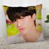 Подушка квадратная в стиле K-pop Ateez, наволочка на молнии, 45x45 см(Одна сторона) 04.1