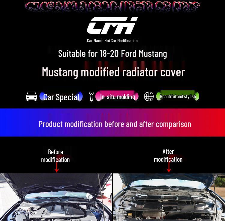 Carbon Fiber Radiator Cover & Hood Latch Guard for 2018-2023 Ford Mustang