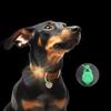 Силиконовый светодиодный фонарик для домашних животных кошек собак, светящийся кулон, предотвращающий потерю питомцев, для прогулок, ночной декор, ошейники