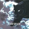 CD SIAM SHADE - SIAM SHADE LMC001 Leaf Mt. 1994 Japan ObiRock Used