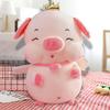 Плюшевая игрушка Свинка Милый розовый цвет Корона Ангел Свинка Кукла Плюшевый компаньон Успокаивающая игрушка Мягкая игрушка Подушка Детская плюшевая кукла Подарок на день рождения
