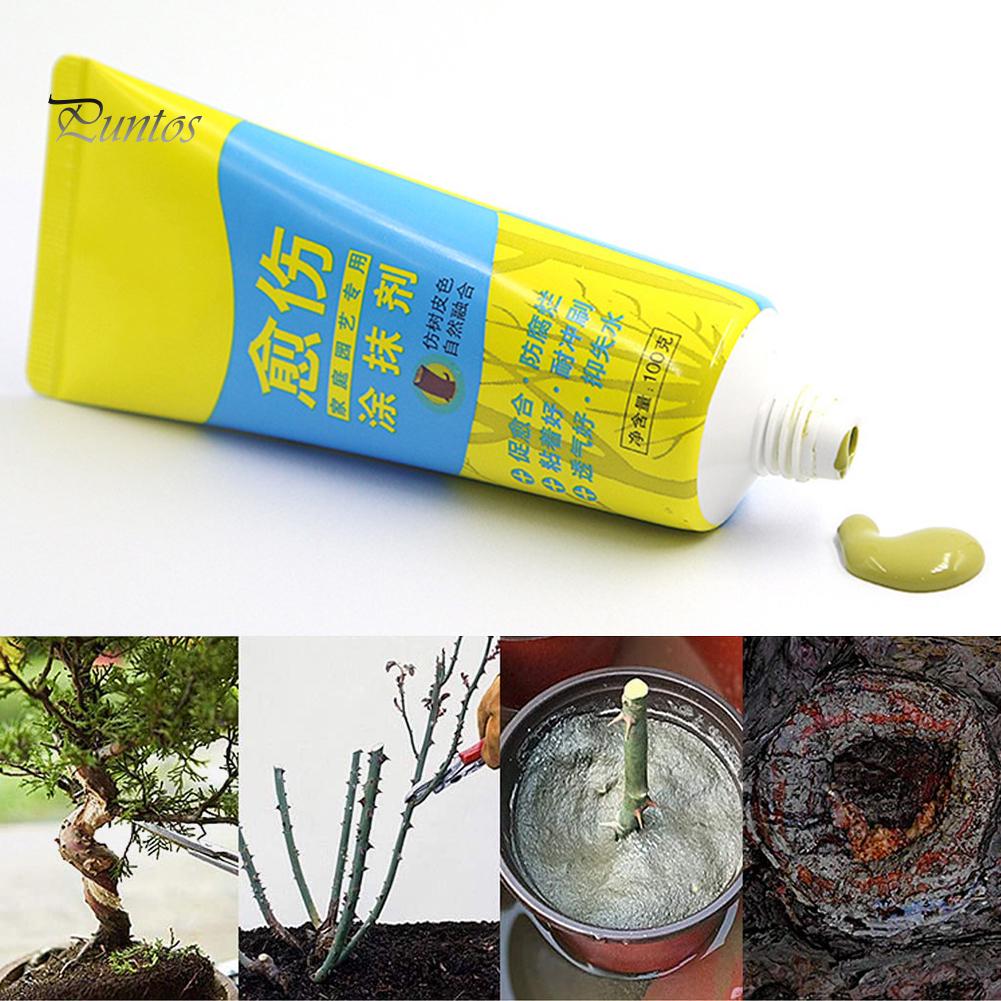Puntos 100 г паста для порезов ран на дереве, мазок, средство для обрезки, герметик с кистью